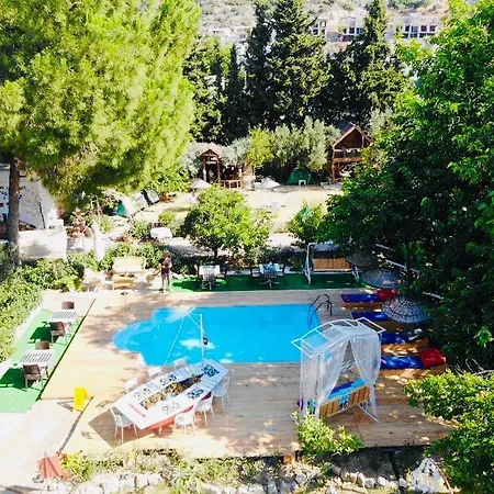 Проживание в семье Mursel Garden