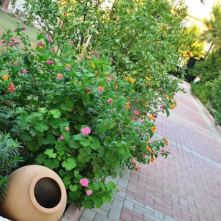 Pansiyon Mursel Garden *