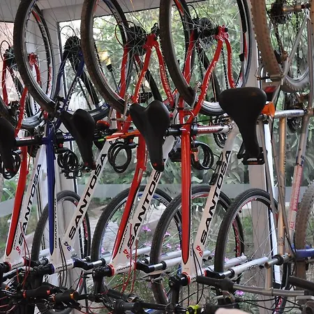 בית אירוח Mursel Garden