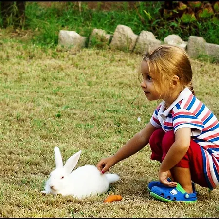 Pansiyon Mursel Garden