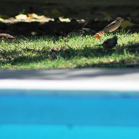 Mursel Garden Pansiyon *