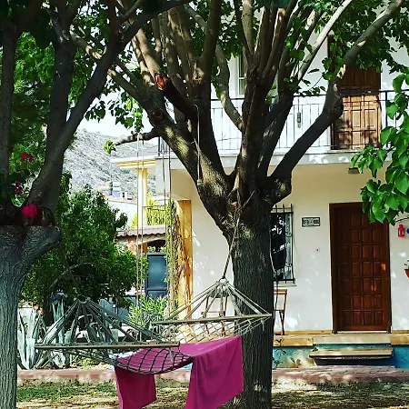 בית אירוח Mursel Garden קוסדסי