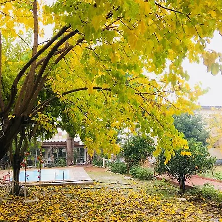 Mursel Garden בית אירוח *