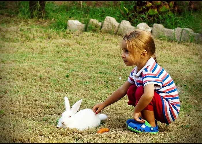 Δωμάτια σε οικογενειακή κατοικία Mursel Garden