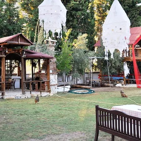 Homestay Mursel Garden