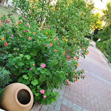 Homestay Mursel Garden *
