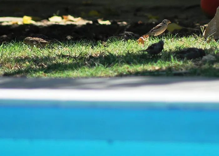 Mursel Garden Kwatera prywatna *