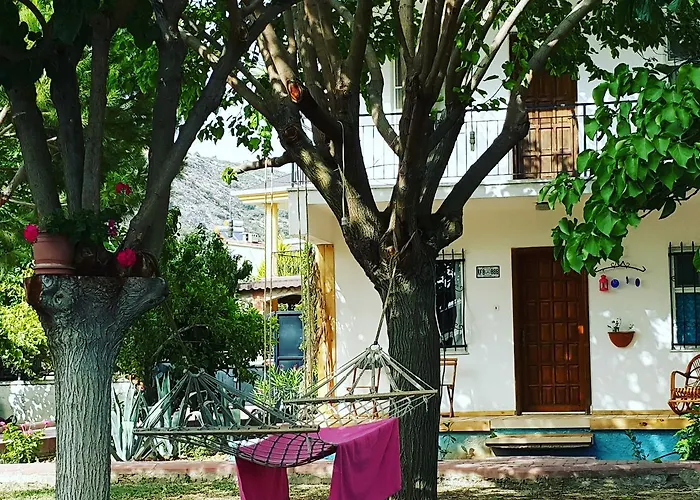 Séjour chez l'habitant Mursel Garden Kusadası