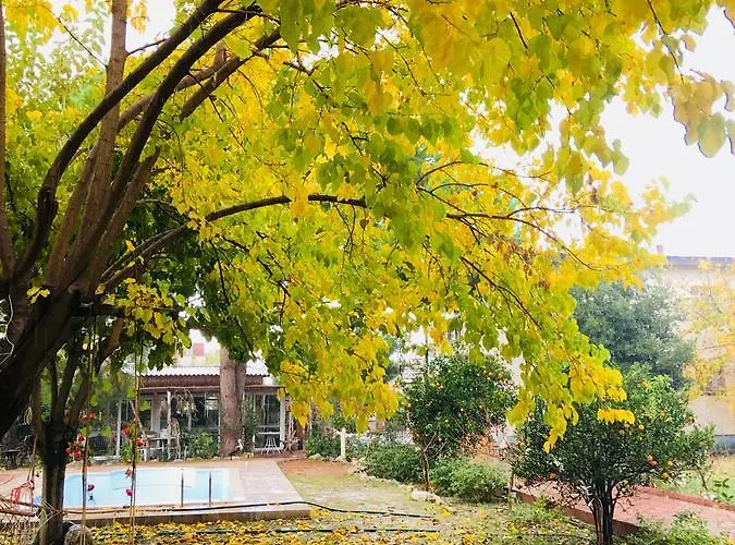 Mursel Garden Kwatera prywatna *